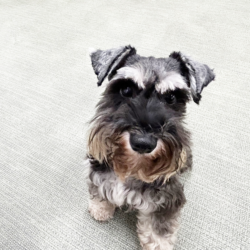 Ｗａｎ活で生徒が撮影した写真♪①